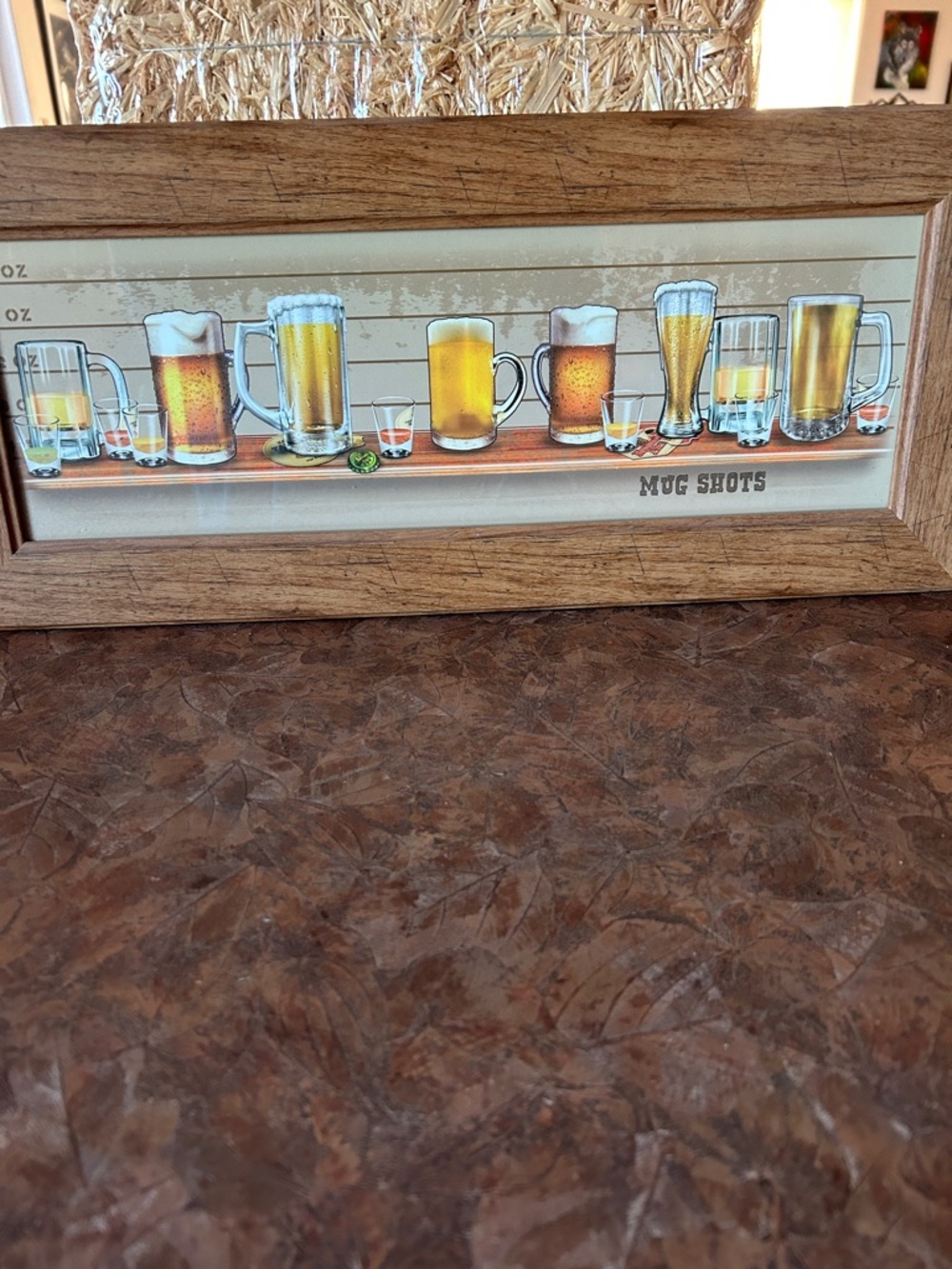 Mug Shots Hilarious Man Cave Wall Decor